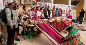 feria-de-camelidos