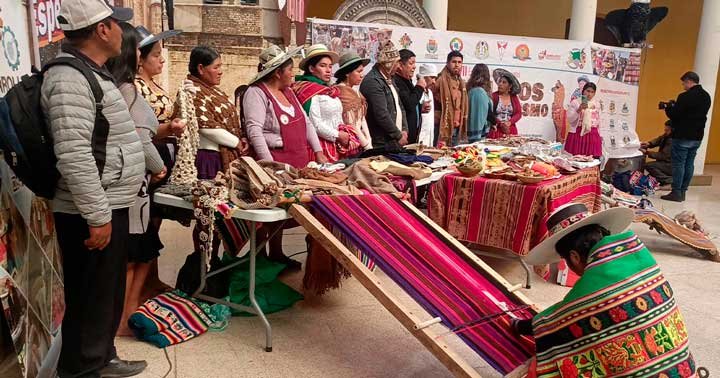 feria-de-camelidos