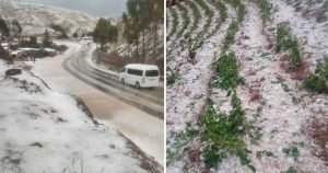 GRANIZADA