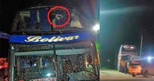 BUS-AFECTADO