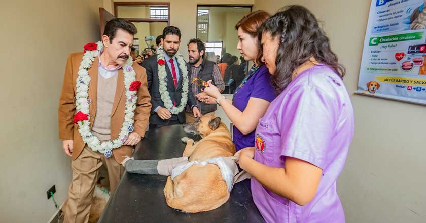 CLINICA-VETERINARIA