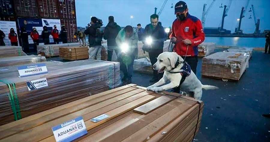 DROGA---CHILE-OFI