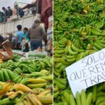 Productores de banano exigen resarcimiento por pérdidas millonarias