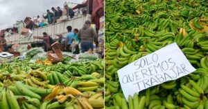 El-platano