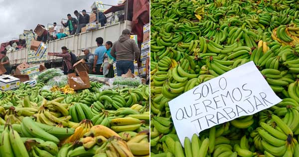 El-platano