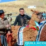 Quillacollo celebra su riqueza productiva y cultural en la XVIII Feria de Camélidos