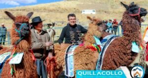 FERIA-DE-CAMELIDOS