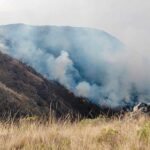 Despliegan 120 efectivos para combatir incendio forestal en Tarija