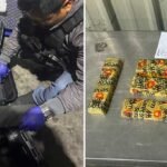El caso de los 189 kilos de oro en Viru Viru: documentos falsificados y dudas por liberados