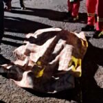 Cochabamba: delivery es asesinado por su sobrino político por una deuda de Bs 50