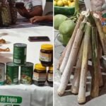 La escasez de diésel golpea al Trópico y pone en riesgo las exportaciones de palmito y pescado