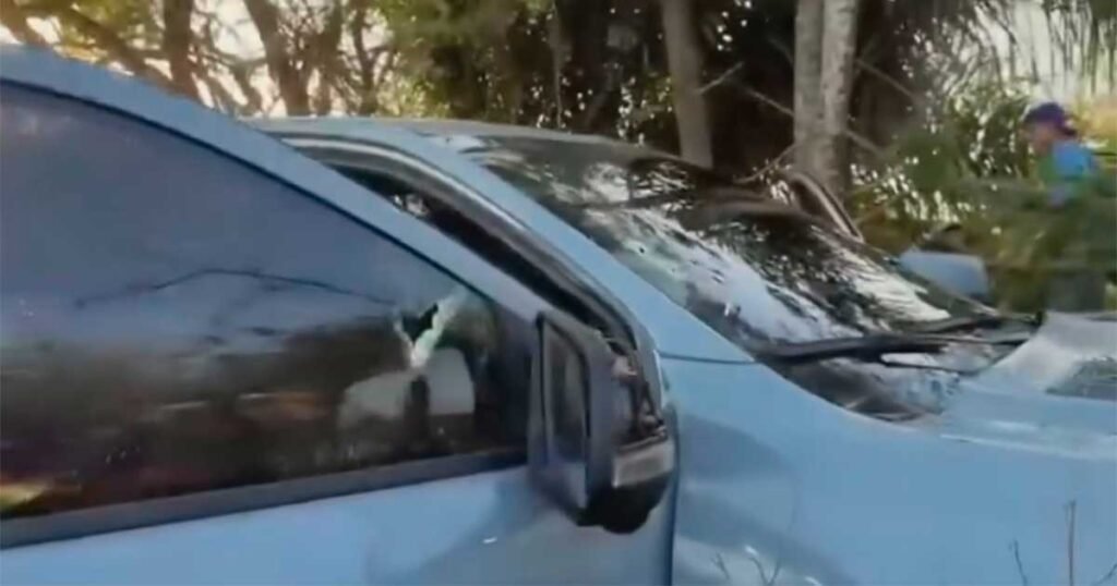 AUTO-BALEADO