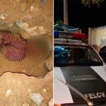 Conmoción en Cochabamba: mató a su pareja, la enterró en su habitación y le hizo una lápida